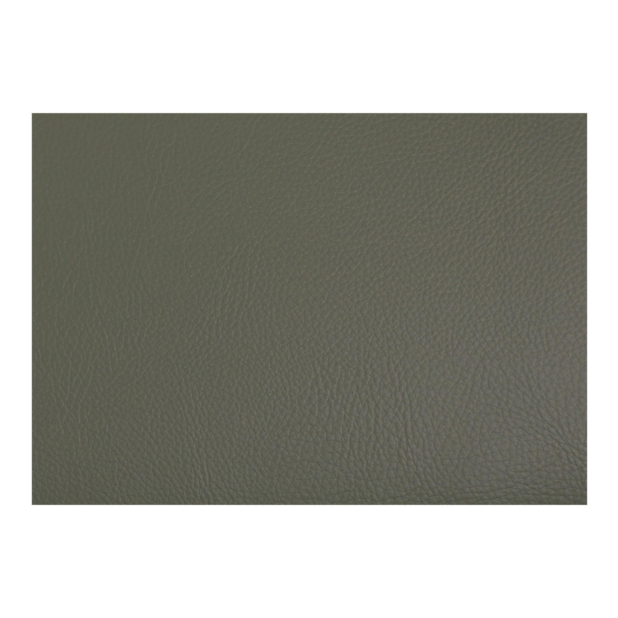 Delaney Dining Chair Dark Green - Set of Two - 1630Living