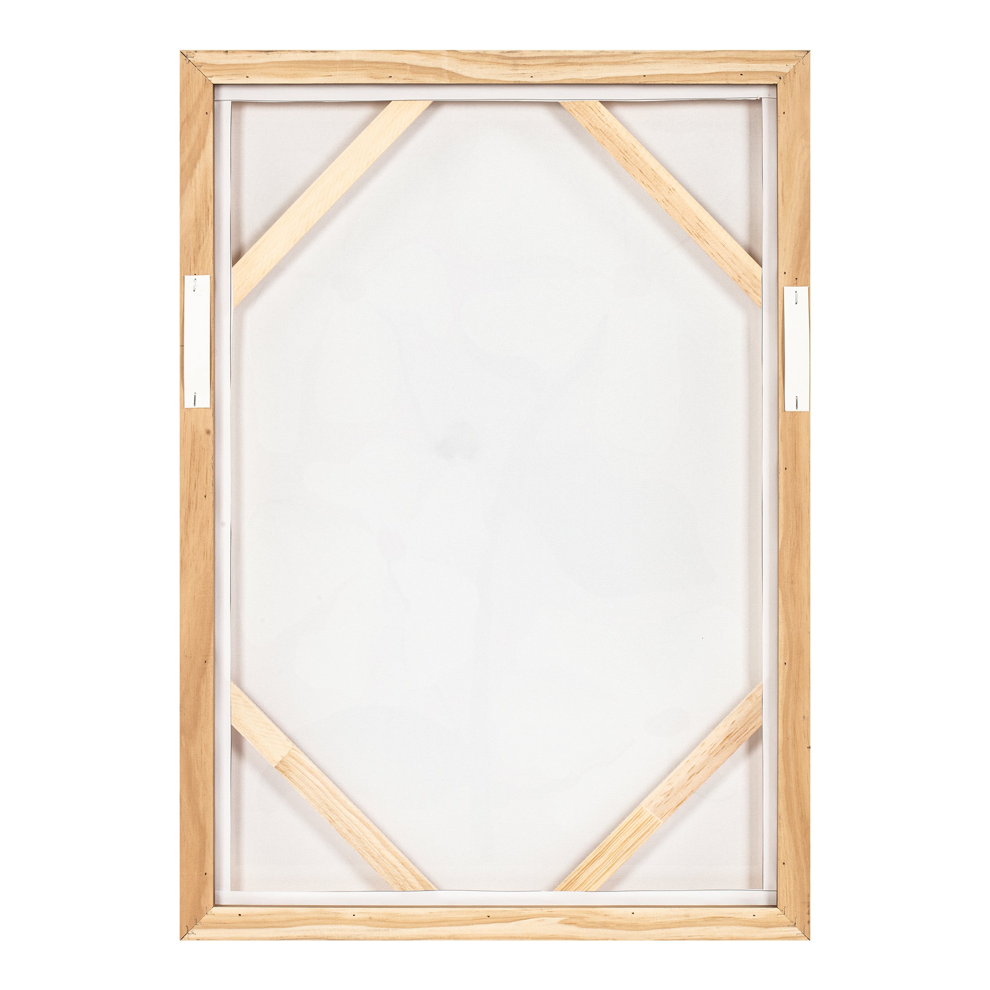 Blush Framed Painting - 1630Living